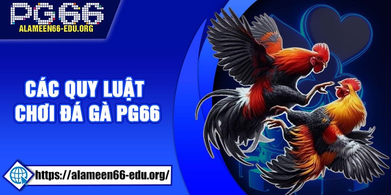 Hé lộ các quy luật chơi đá gà PG66