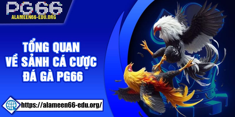 Tổng quan về sảnh cá cược đá gà PG66