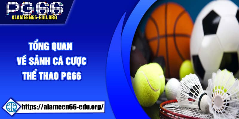 Tổng quan về sảnh cá cược thể thao PG66
